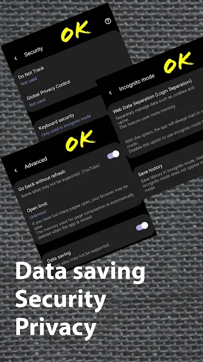 Soul Browser screenshot