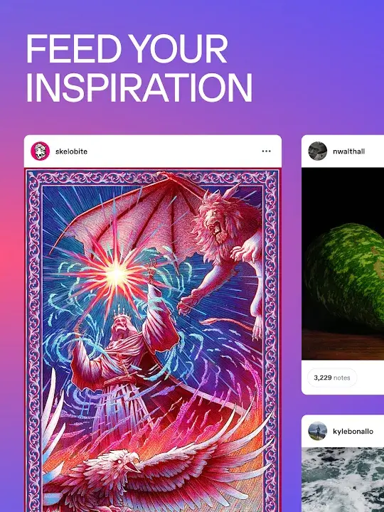 Tumblr screenshot
