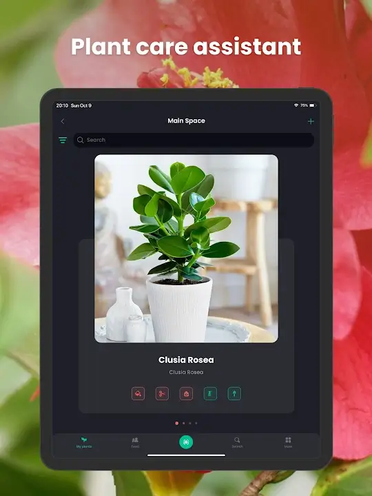 PlantIn Plant Identifier screenshot