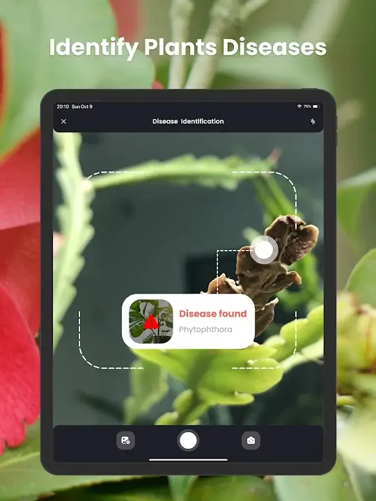 PlantIn Plant Identifier screenshot