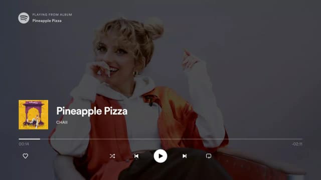 Spotify for Android TV screenshot