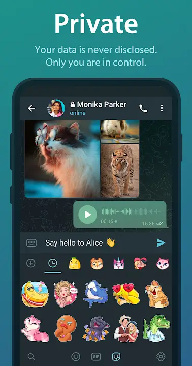 Telegram Premium screenshot