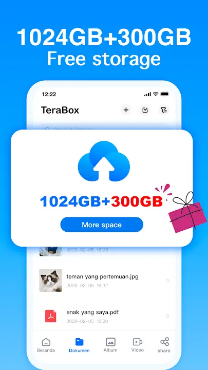 Terabox Premium screenshot