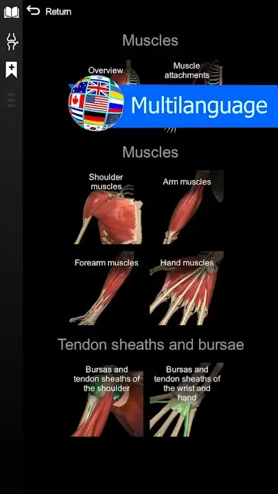 Anatomy Learning 3D Anatomy screenshot