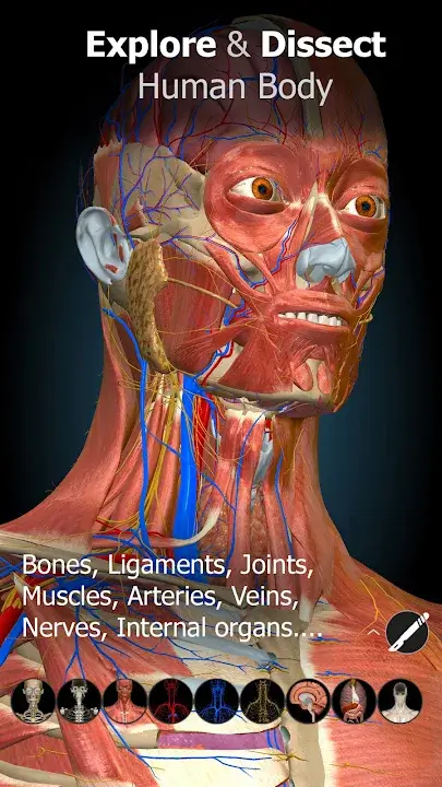 Anatomy Learning 3D Anatomy screenshot