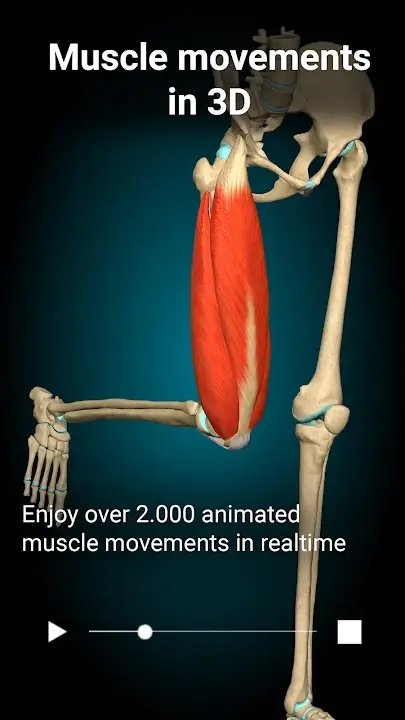 Anatomy Learning 3D Anatomy screenshot