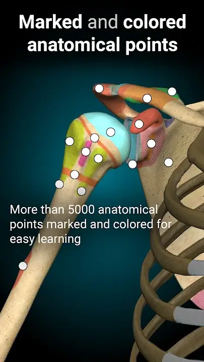 Anatomy Learning 3D Anatomy screenshot