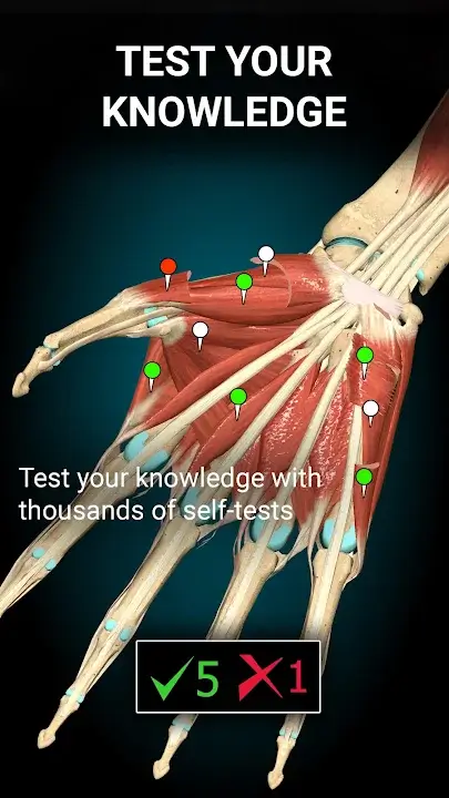 Anatomy Learning 3D Anatomy screenshot