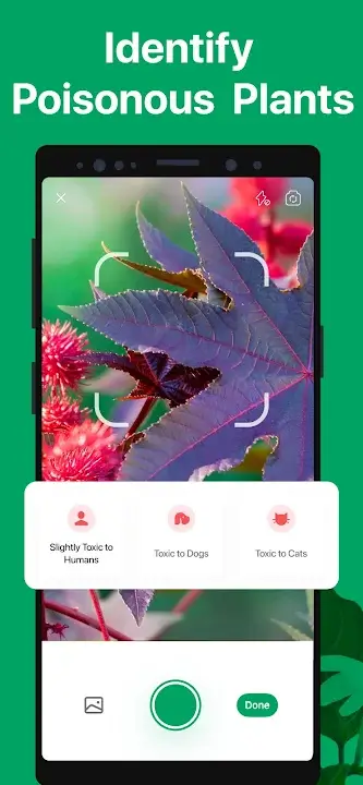 PictureThis screenshot
